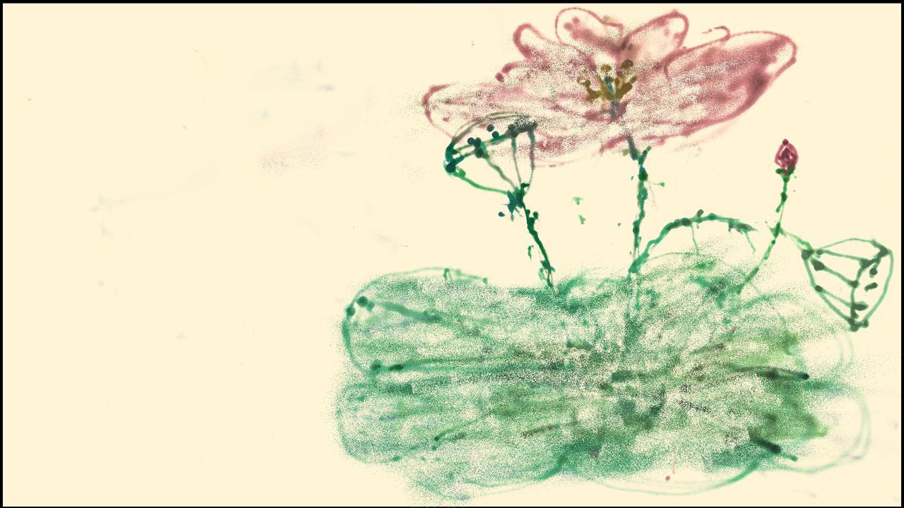 作者：捉住一只青蛙